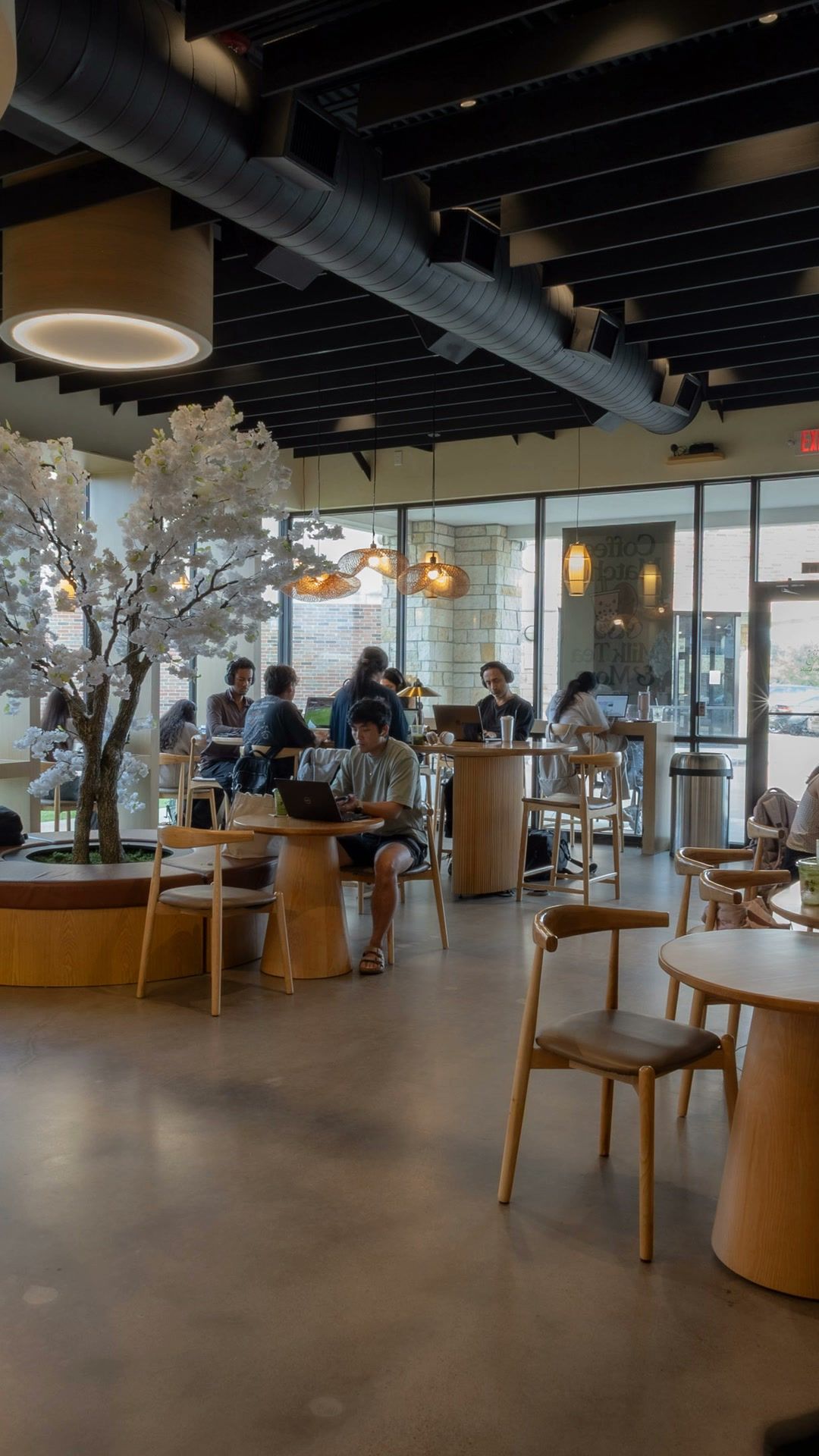 Inside Fresso Cafe on a busy afternoon: guests at oak tables around the blossom tree and along the windows